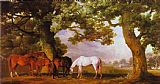 Wooded Canvas Paintings - Mares and Foals in a Wooded Landscape
